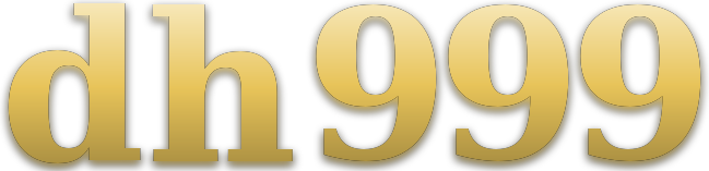 dh 999 logo